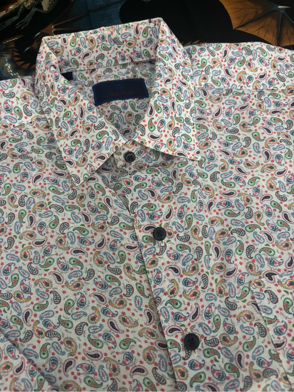 David Donahue 100% Linen Button-Down, Multicolor Paisley Print, L